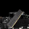 Netac DU04 DDR4 3200MHz Desktop RAM