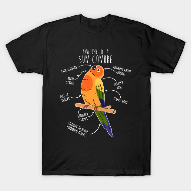 Men Black Print T-shirt Sun Conure Parrot Anatomy No-Cut Transfer Paper Print Cotton Tshirt 2XL