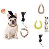 Stylish Pet Gold Chain Necklace With Funky Dog Dreadlock Wig Perfect For Halloween And Christmas Celebrations