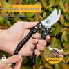 Garden Pruning Shears