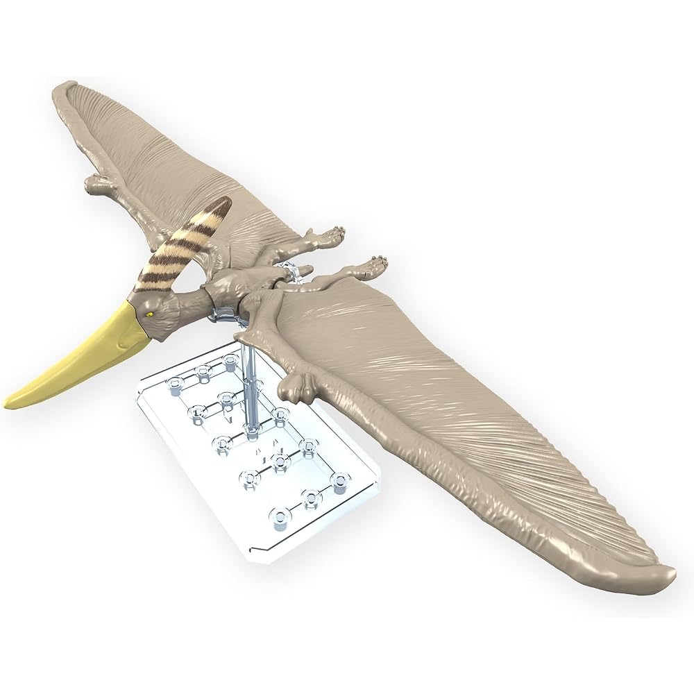 BANDAI SPIRITS (Bandai Spirits) Planosaurus Pteranodon Color Coded Plastic Model