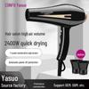 Kangfu Professional High Power Hair Dryer for Quick Drying and Salon Care