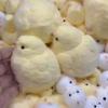 Chick Squishy Toy, Office Funny Stress Relief Fidget Toy, Slow Rising Sensory Popping Game For Adults Kids