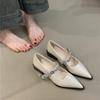 Temperament dicker Absatz Mary Jane Schuhe neue französische elegante Metallschnalle spitzer Schuh mit Pendlerschuhen