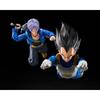 NACIONES TAMASHII SH. Figuarts Dragon Ball Z Vegeta (Guerrero Z)