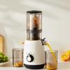 220V Large Caliber Juicer  Juice Residue Separation Household Low-speed Juicer  Fruit Vegetable Screw Slow Juicer Commercial