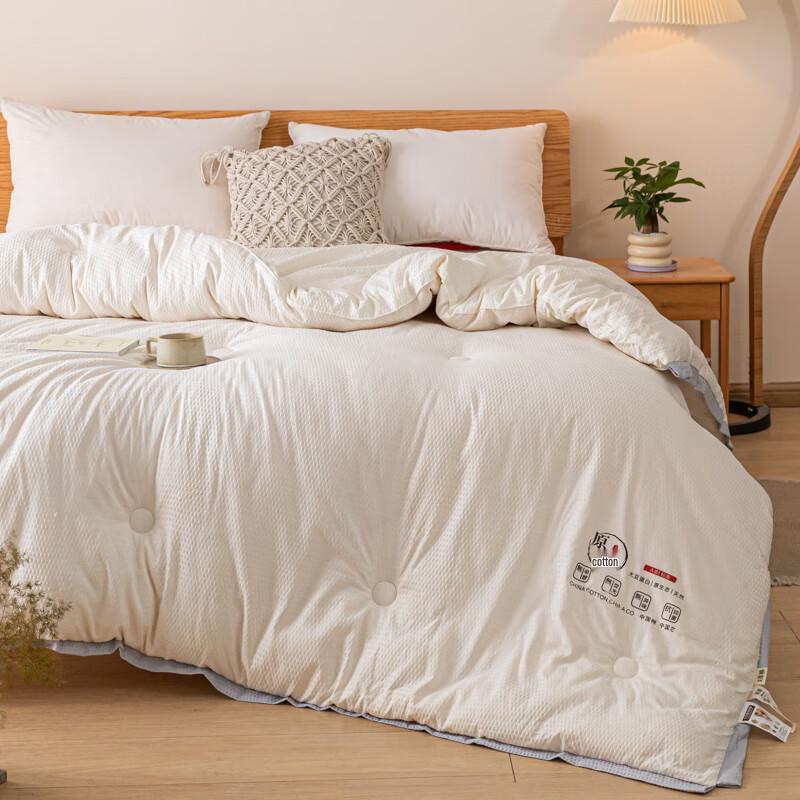 Plover Soybean Fiber Warm Quilt