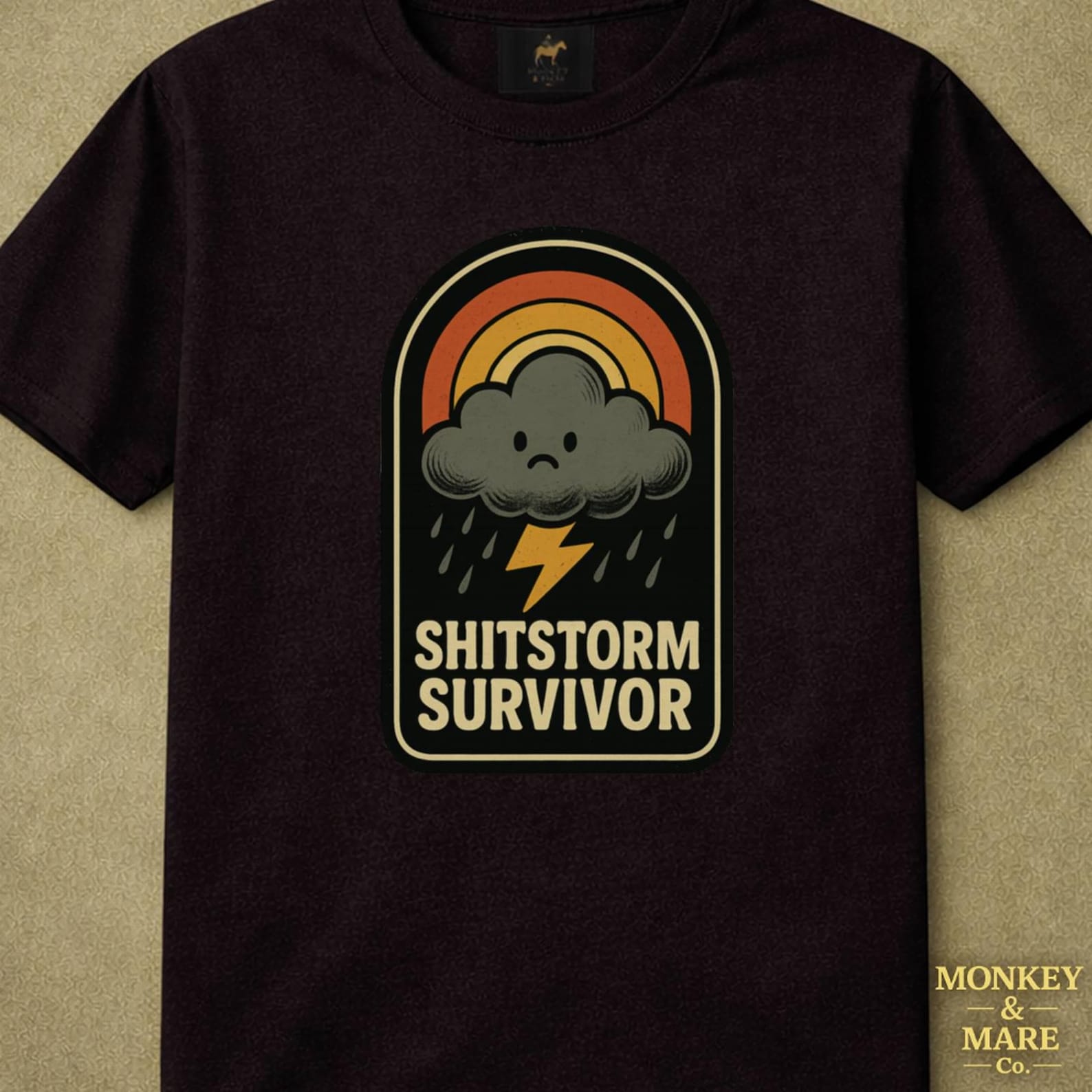 Storm Cloud Shirt, Shitstorm Survivor, Sarcastic Resilience Weather Humor Tee For Dark Humor Fans XL