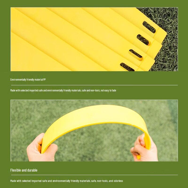 Agility Training Ladder