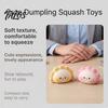 Travel Stress Reliever Dumpling Pinching Toy, Relief Soft Elastic Fidget Toy Portable Mini Ball, for Anxiety And Irritability Release Ball