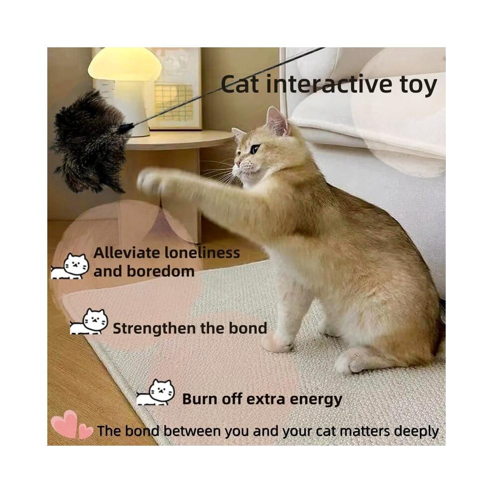 Natural Ostrich Feather Cat Teaser 30in Telescopic Rod Stainless Steel Undyed Feathers Dark Gray