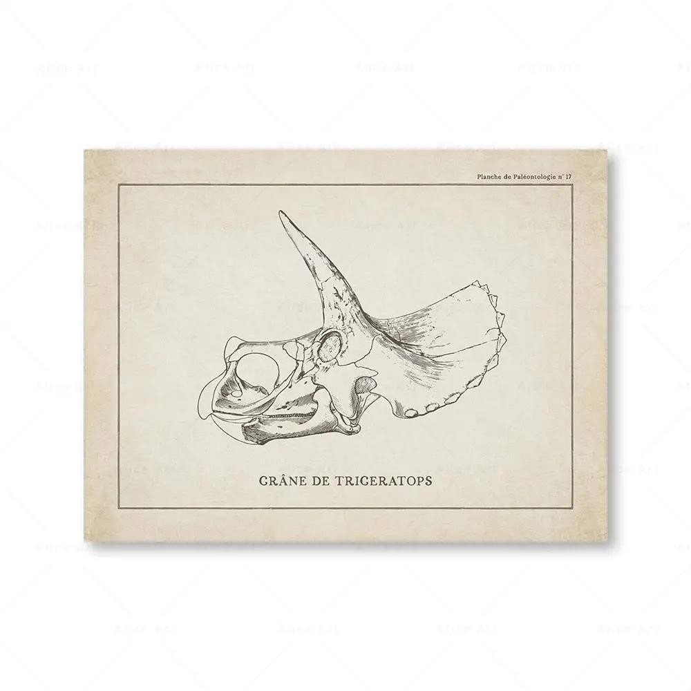 Canvas Painting Nordic Posters And Prints Vintage Dinosaur Skeleton Paleontology Wall Art Wall Pictures For Boy Kids Room Decor