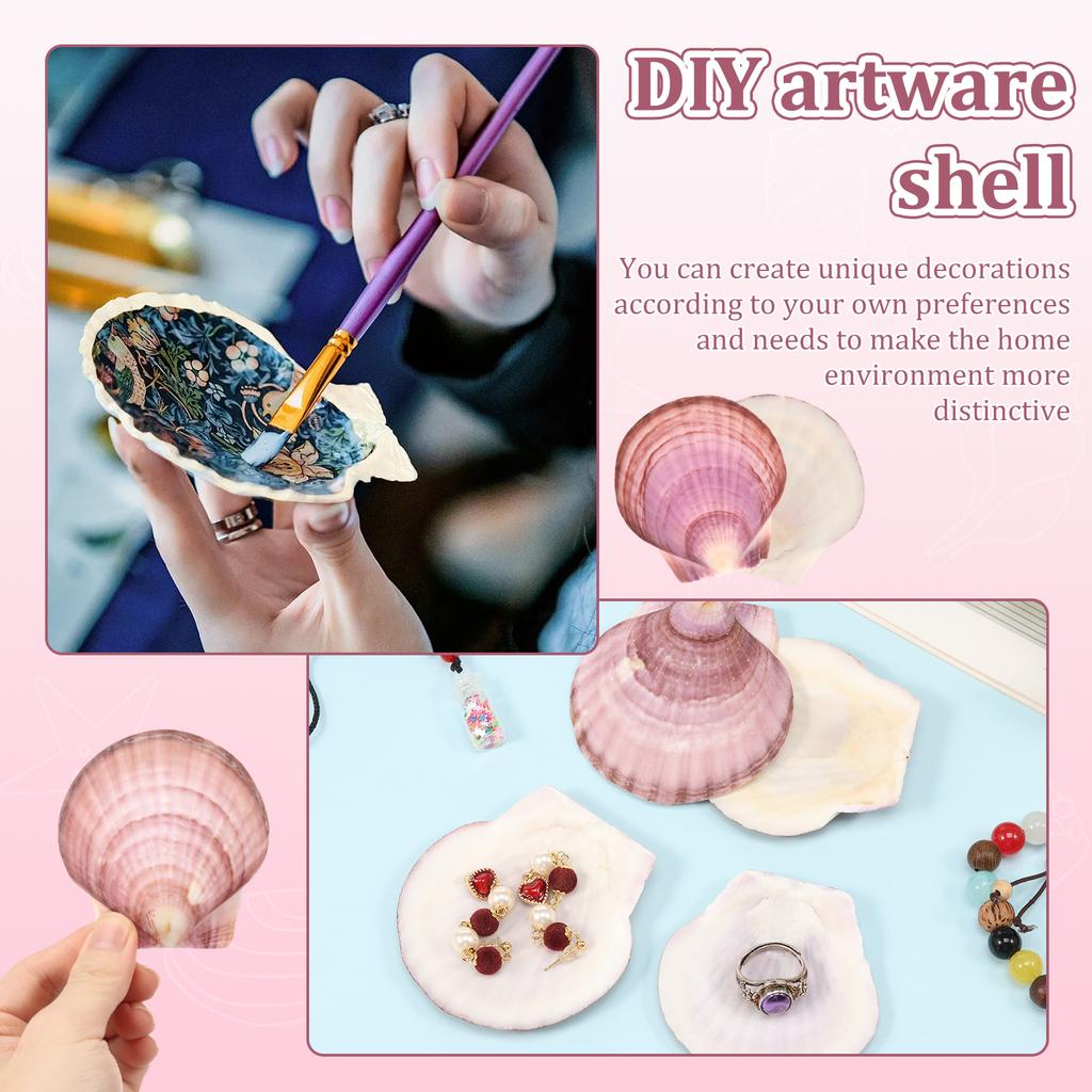 8/60pcs Natural Scallop Shells for Crafts White Pink Seashell Decor for Home, Sea Shells for DIY, Painting, Beach Wedding Decor