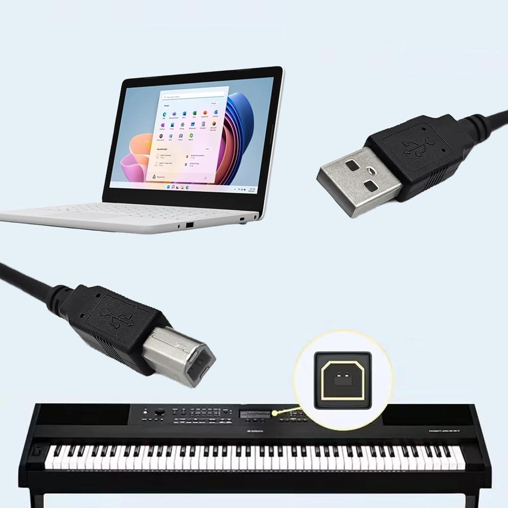 Delca USB 2.0 Printer Cable, 5.3 Feet (1.6 Meters), Black, Compatible with Canon, Brother, Epson, Samsung, HP, Dell & More