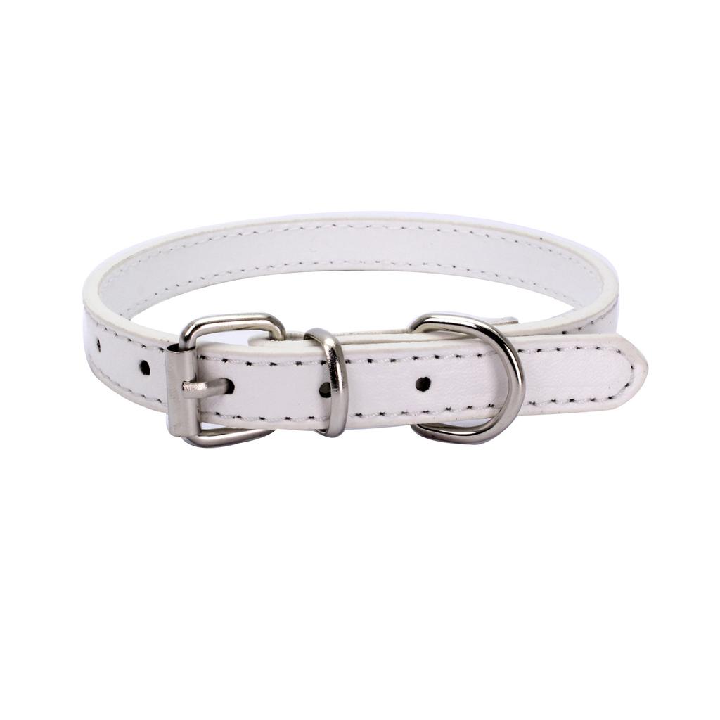Light Plate Dog Collar Alloy Tube Buckle Dog Chain