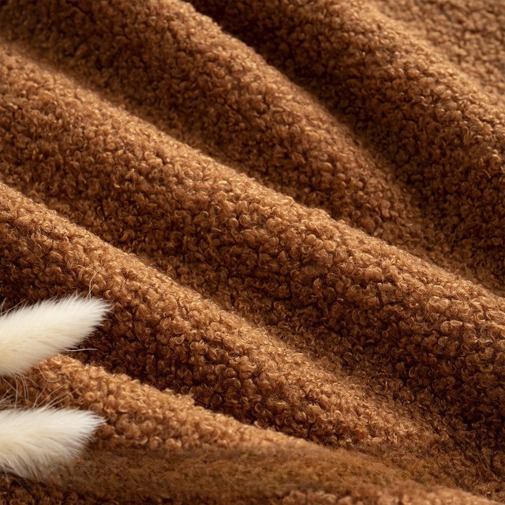 100x145cm Thickened Lamb Wool Fabric for Winter Hoodies, Outerwear, Pillows, Pet Beds, Handmade DIY Clothing Fabric