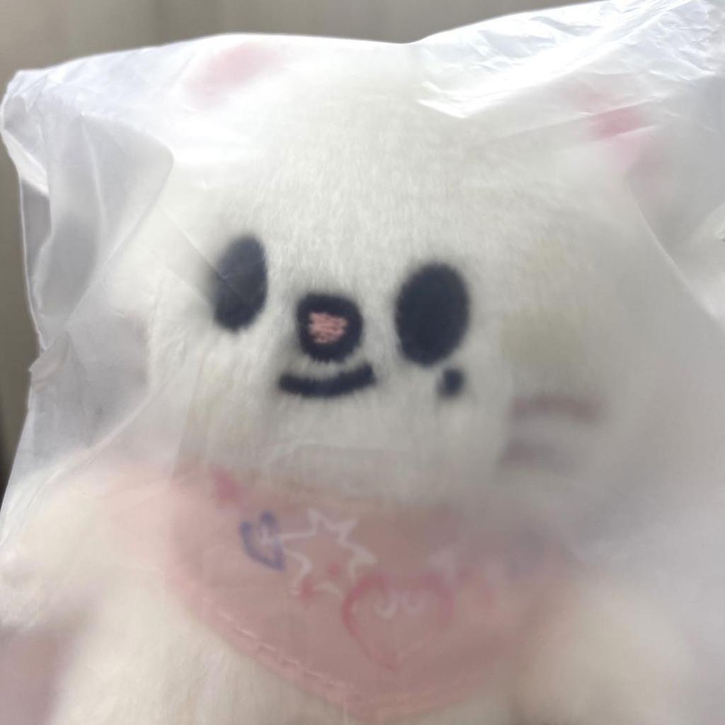 [USED] Straykids SKZOO Genielet 10cm