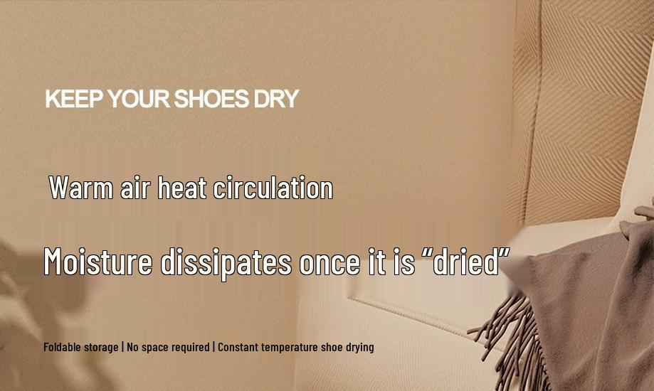 Folding Multi-Functional Retractable Shoe Dryer & Timer