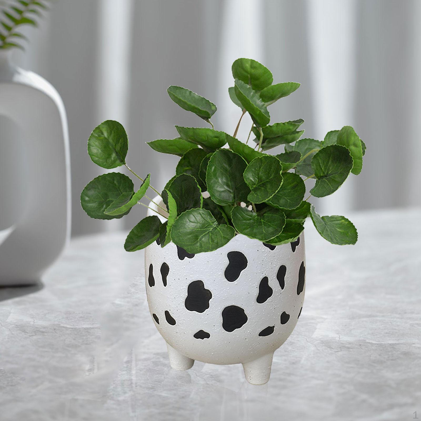 

Flower Pot Pots Bookshelf Decor Gift Planter Lightweight Bonsai Style B