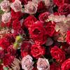 Uflower Red Rose Flower Wall Roll-Up Hanging Fabric Backdrop for Wedding Event Party Decorations Artificial Floral Curtain