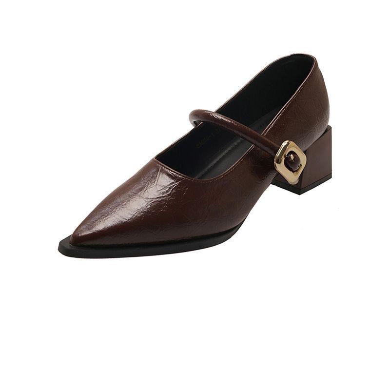 Fashion 2025 Spring Autumn Vintage Pointed Toe Women Mary Jane Shoes Fashion Shallow Buckle Shoes Ladies Elegant Dress Thick Heel Shoes