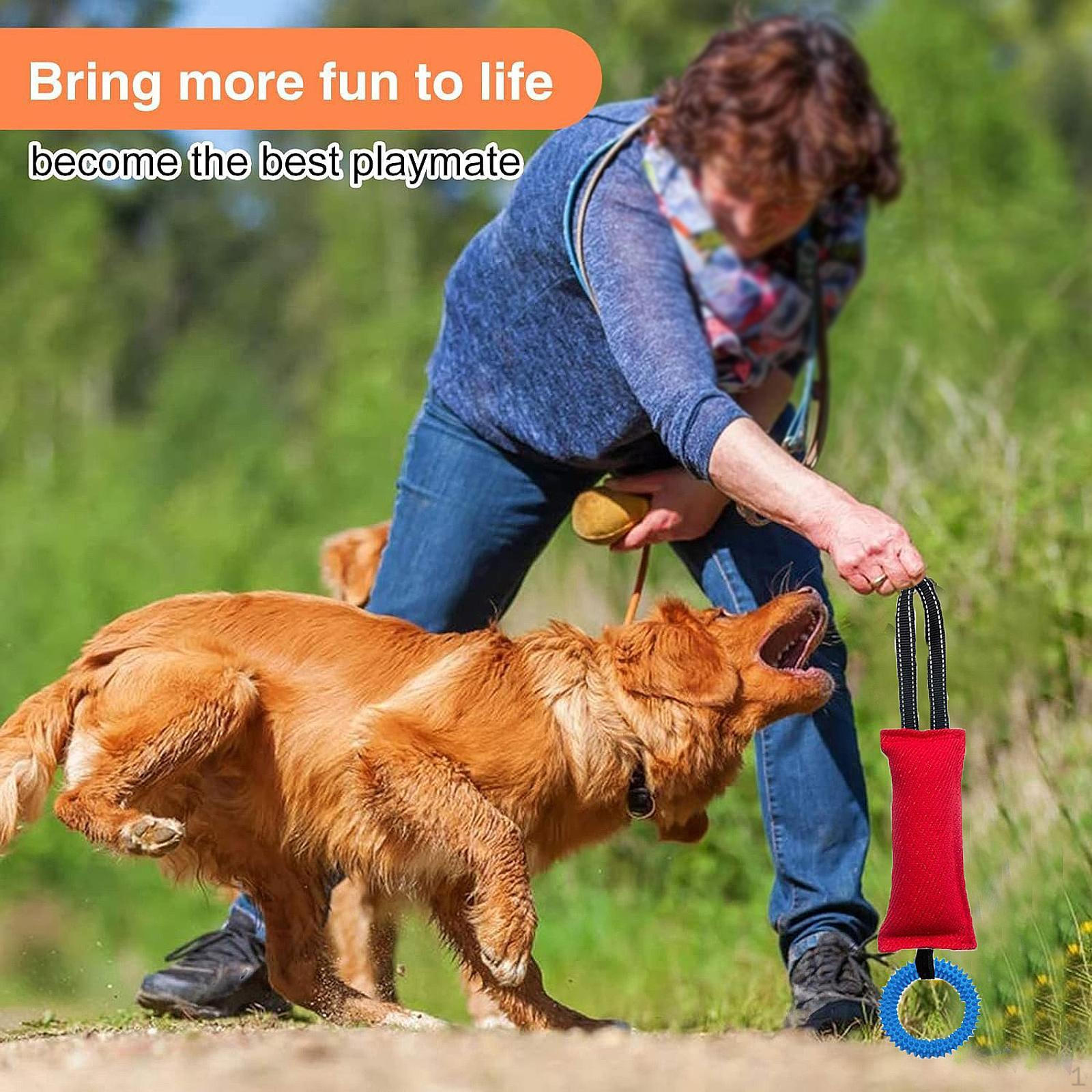 

Dog Bite Tug Toy for of Lightweight Interactive Play Tough Pillow Puppy Pet червоний