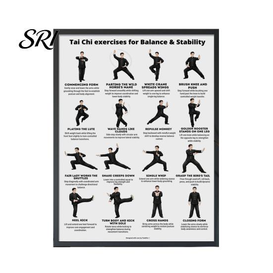 Tai Chi Chair Exercise Poster Workout Unframed Routine Clear Visual Instructions Low Impact Guide Seated Chart for Seniors Beginners Gentle