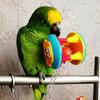Colorful Parrot Ball Toys Plastic Bird Cage Hanging Toys  Cockatiel Brinquedos