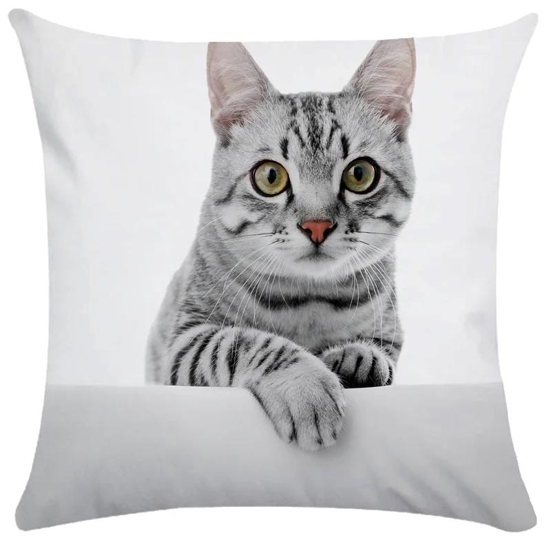 

Cute Pet Cat Pillowcase Sleeping Bubble Black Kids Gift Cushion Cover Sofa Living Room Home Decor Custom 30x30CM(12x12in)