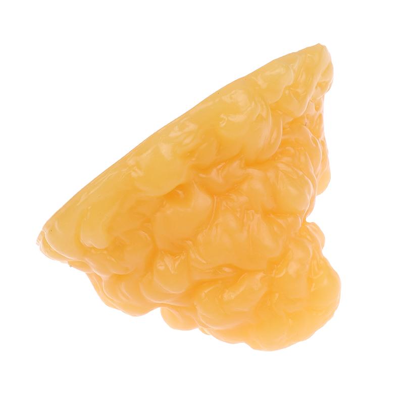 Fat Replica Fatty Tissue Model Human Body Fat Replica 1Lb Human Fatty Tissue Demonstration Model For Nutritionist Science Course
