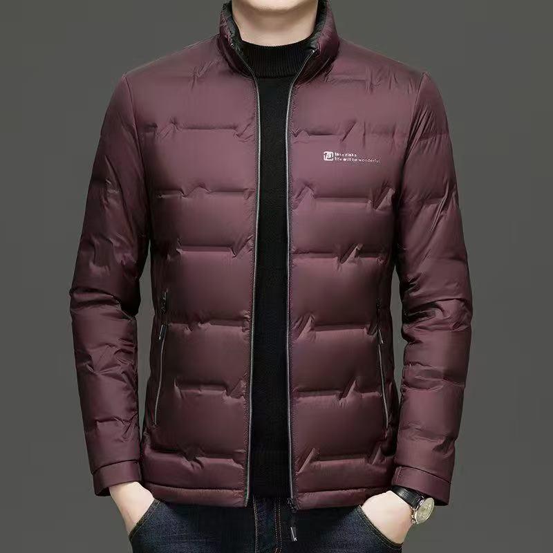 Romon Men's 2025 Stand-Up Collar Down Jacket - High-End, Versatile Business Casual Coat for Spring & Autumn.