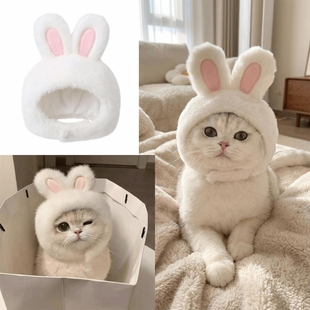 Pet Fashion Comfortable Bunny Ears Cat Hat Velcro Adorable Pet Accessories Lightweight Cat Cap For Cats