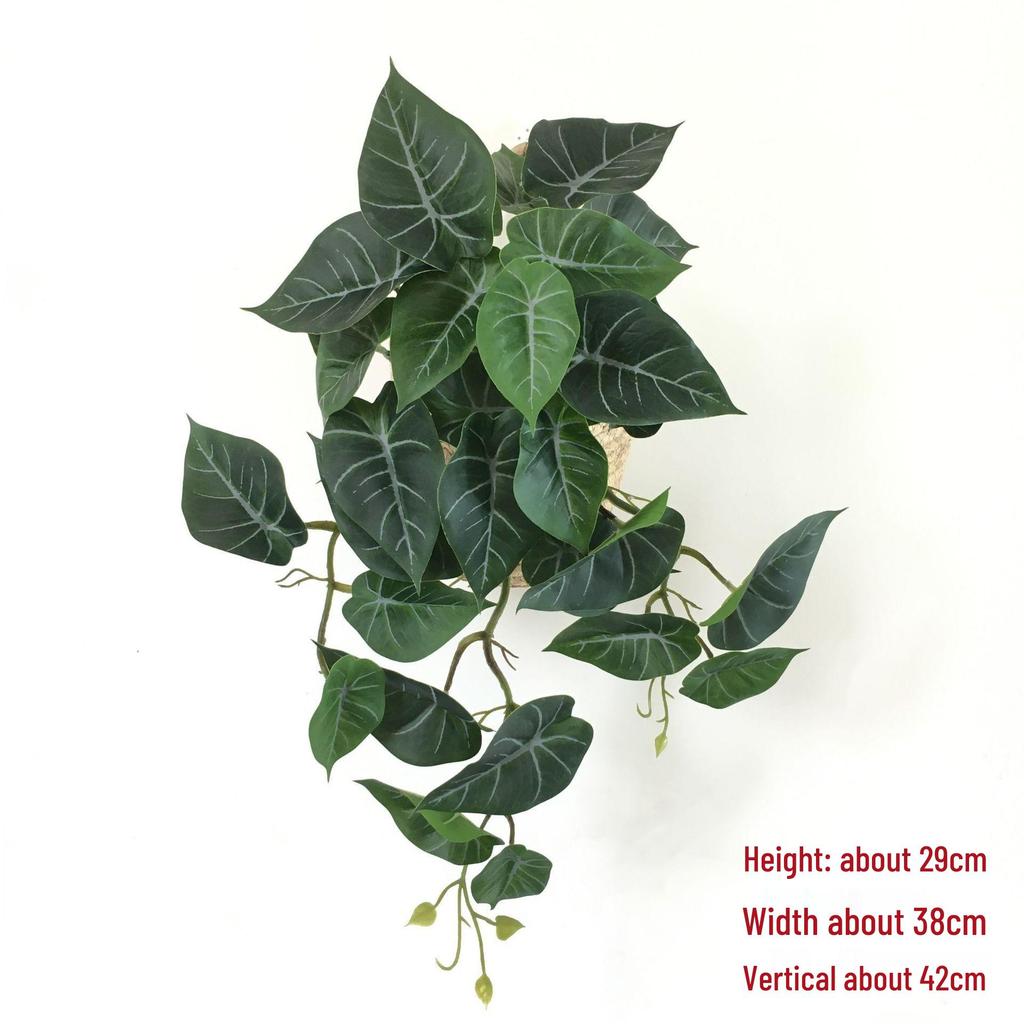 Wandmontierte Monstera-Ranke für die Innendekoration: Hängende Efeutute und laminierte grüne Zweige