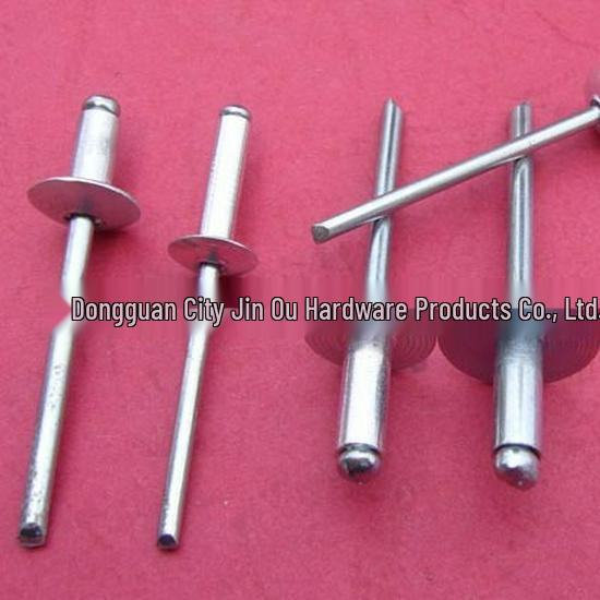 Beita Aluminum Large Flat Head Rivet