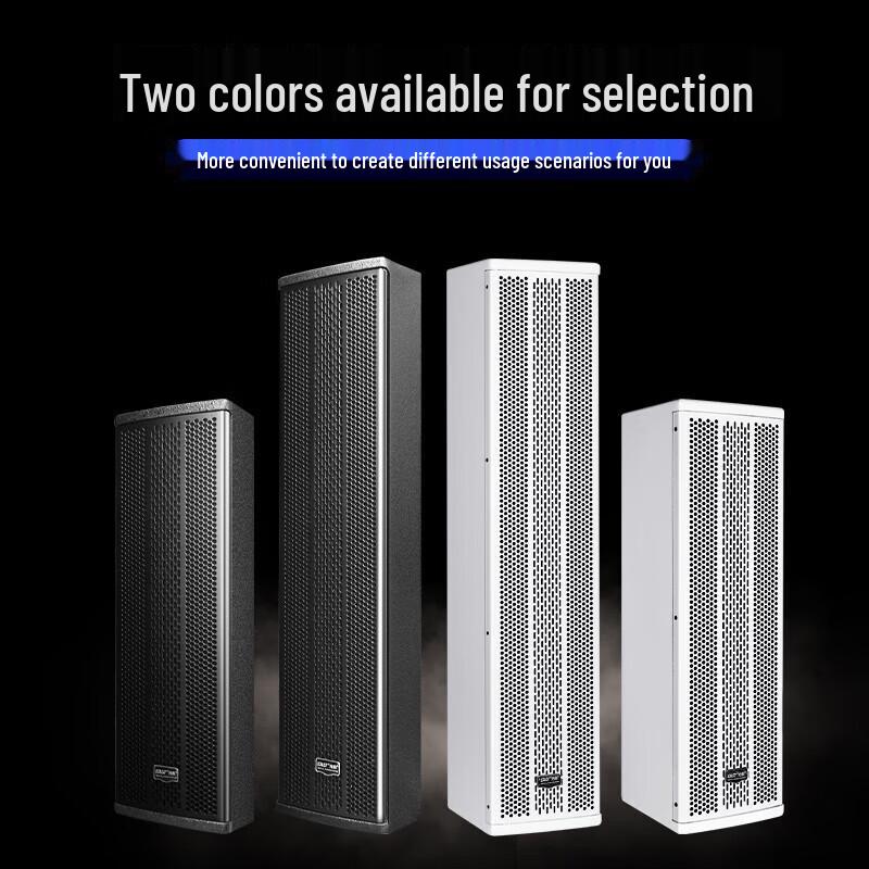 SAST Professional Conference Room Passive Column Speaker System with Wireless Microphones CN Plug (adapter Included)