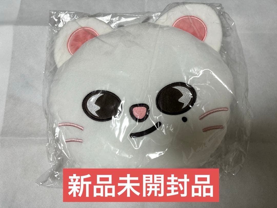 

[USED] Ginillet Backpack