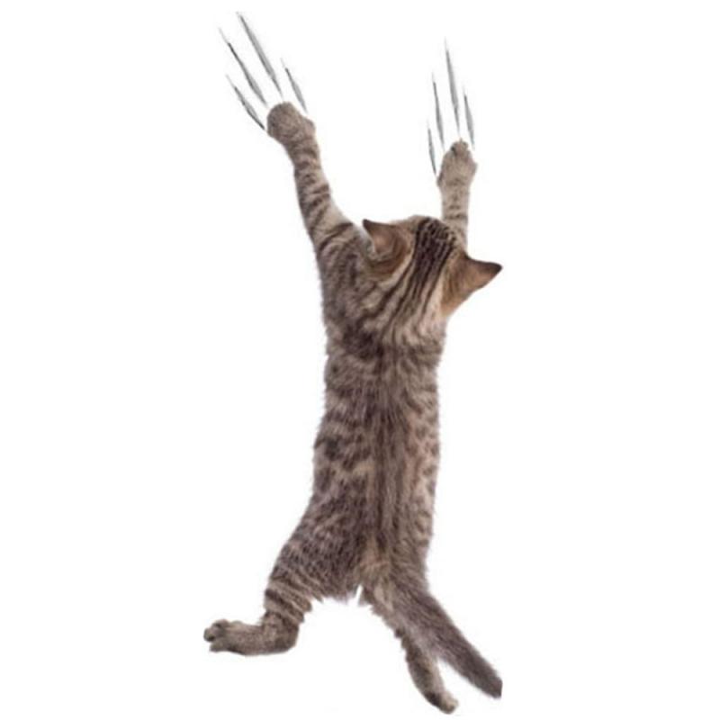 Модная 3D наклейка на туалет с котом — фото 18