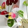 Artificial Anthurium Flower 24.4 Inch Real Touch Fake Flower for DIY Wedding Bouquets Floral Arrangements Bridal Shower Party Centerpiece