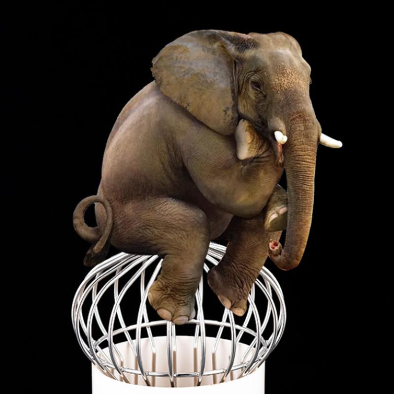 Strainer Garden Landscaping Floor Drain Gutter Guard 304 Stainless Steel Mesh Cover Stops Leaves Seeds Debris Gutter