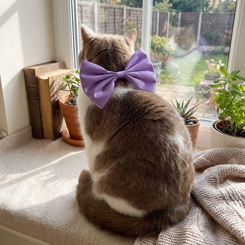 Cat Necklace Bow Adjustable Cat Bow Headwear Elegant Decorative Pet Necklace Formal Pet Tie Scarf Wedding Party