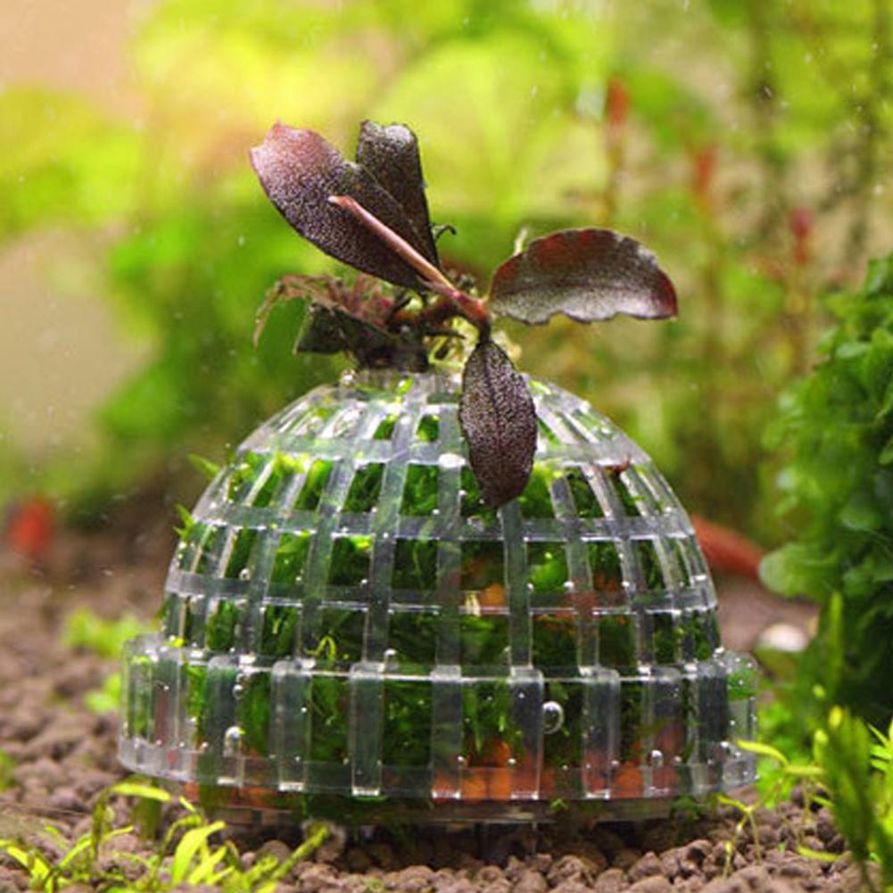 1pcs Aquarium Moss Ball Holder, Fish Tank DIY Moss Ball Shape Former Modeling, Moss Ball Holder Filter for Aquarium Moss Plant
