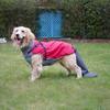 Washable Dog Tail Protect Cover Breathable Dog Hoodie Vest Accessories  Walking the Dog
