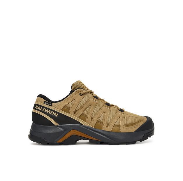 

Туристические ботинки Salomon X-Adventure Recon Gore-Tex EU 40