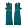 Robuste Schutzhandschuhe für Tierhandling und Hundetraining
