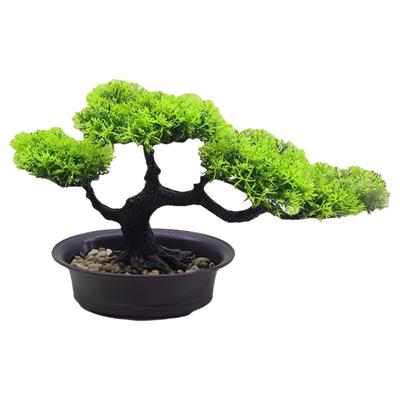 Hyack Mini Bonsai Pine Dried Bonsai Tabletop Faux Greenery, Never Withers, Easy To Care For, Artificial Flowers (Green)