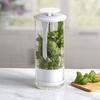 Transparent Longer Fresh Herb Keeper Dust-proof Water Plantin Herb Saver Anti-pressure Environmental
