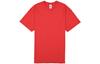 T Shirts Men's Crew Neck Moderate Straight Fit CK0717-657