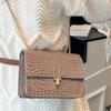 Fashionable Stylish and Simple Chain Crossbody Bag