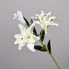 DIY Craft Artificial Flower Branch Real Touch Lifelike Fake Flowers Handmade Plastic Floral Arrangement Engagement Ceremony
