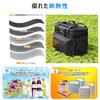 PARTI FISH Insulated Cooler Bag, 9L Capacity, 5-Layer Insulation, Lightweight Tote Style for Camping, Fishing, Going to Work, and the Beach,